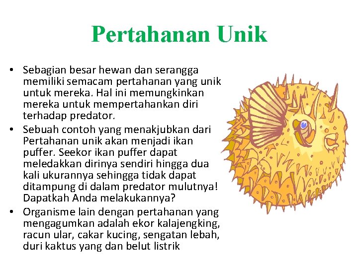 Pertahanan Unik • Sebagian besar hewan dan serangga memiliki semacam pertahanan yang unik untuk