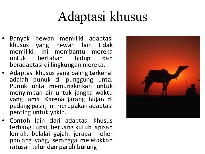 Adaptasi khusus • Banyak hewan memiliki adaptasi khusus yang hewan lain tidak memiliki. Ini