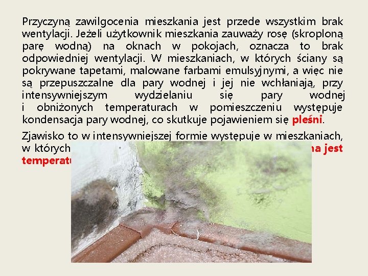 Przyczyną zawilgocenia mieszkania jest przede wszystkim brak wentylacji. Jeżeli użytkownik mieszkania zauważy rosę (skroploną