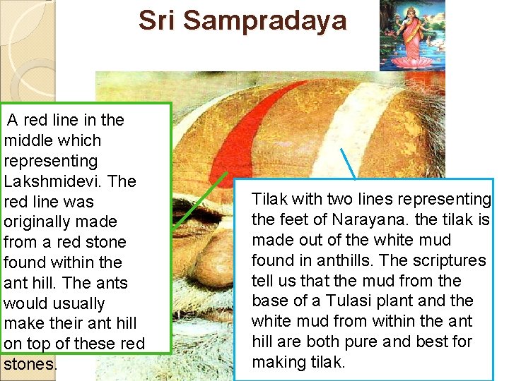 Sri Sampradaya A red line in the middle which representing Lakshmidevi. The red line Sri Sampradaya A red line in the middle which representing Lakshmidevi. The red line