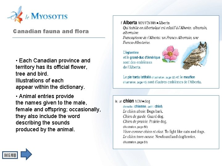 Canadian fauna and flora • Each Canadian province and territory has its official flower,