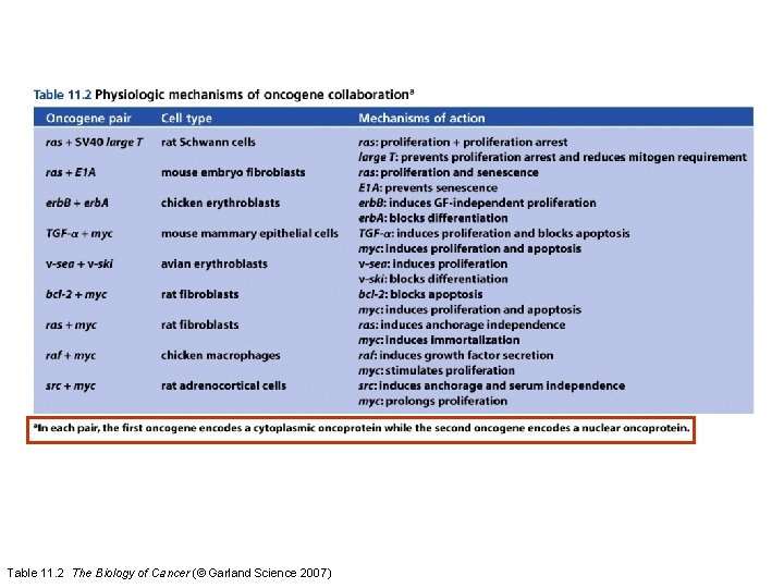 Table 11. 2 The Biology of Cancer (© Garland Science 2007) 