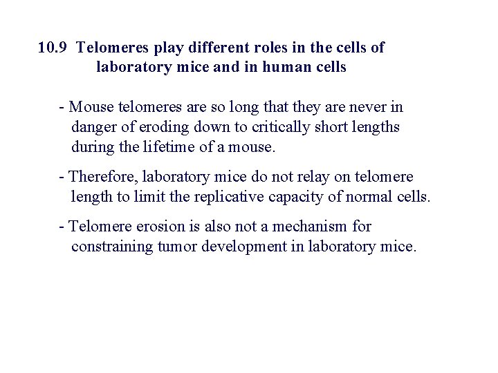 10. 9 Telomeres play different roles in the cells of laboratory mice and in