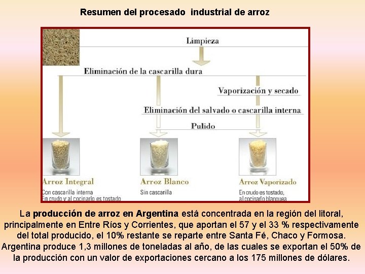 Resumen del procesado industrial de arroz La producción de arroz en Argentina está concentrada