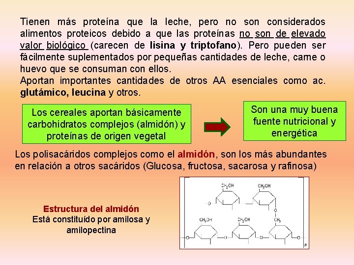 Tienen más proteína que la leche, pero no son considerados alimentos proteicos debido a