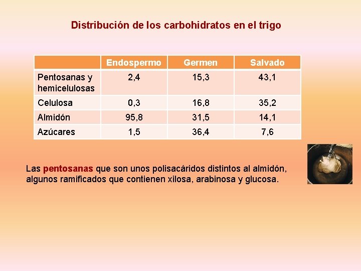 Distribución de los carbohidratos en el trigo Endospermo Germen Salvado Pentosanas y hemicelulosas 2,