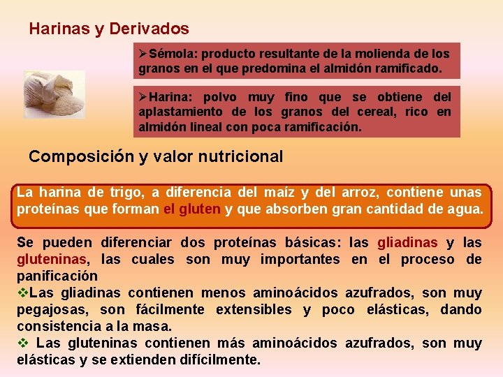 Harinas y Derivados ØSémola: producto resultante de la molienda de los granos en el