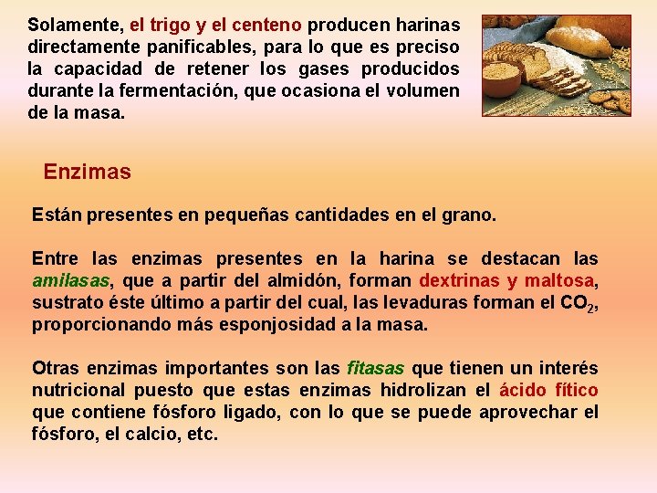 Solamente, el trigo y el centeno producen harinas directamente panificables, para lo que es