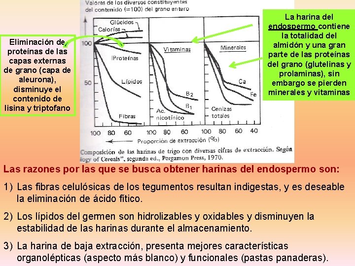 La harina del endospermo contiene la totalidad del almidón y una gran parte de