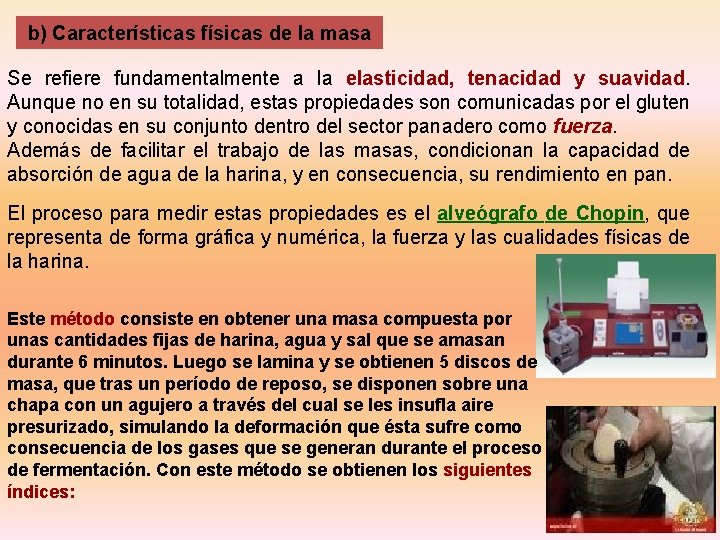 b) Características físicas de la masa Se refiere fundamentalmente a la elasticidad, tenacidad y