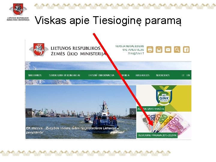 Viskas apie Tiesioginę paramą 