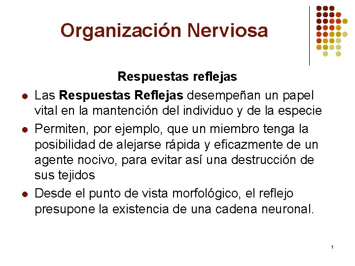 Organización Nerviosa l l l Respuestas reflejas Las Respuestas Reflejas desempeñan un papel vital