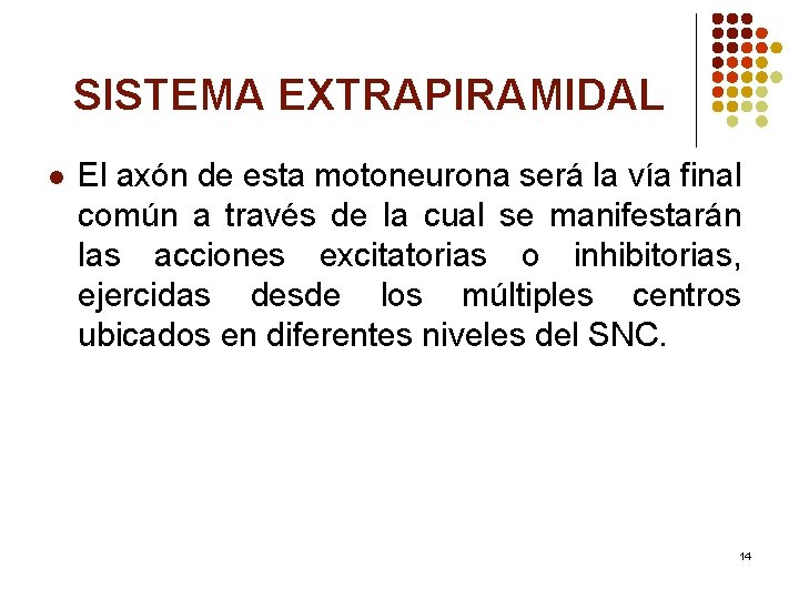 SISTEMA EXTRAPIRAMIDAL l El axón de esta motoneurona será la vía final común a