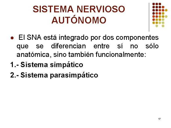 SISTEMA NERVIOSO AUTÓNOMO El SNA está integrado por dos componentes que se diferencian entre