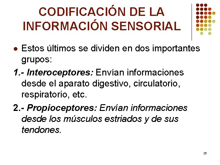 CODIFICACIÓN DE LA INFORMACIÓN SENSORIAL Estos últimos se dividen en dos importantes grupos: 1.