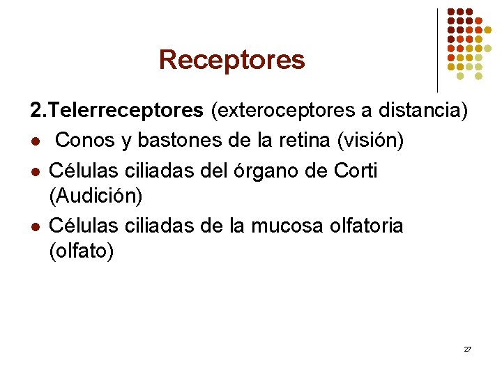 Receptores 2. Telerreceptores (exteroceptores a distancia) l Conos y bastones de la retina (visión)