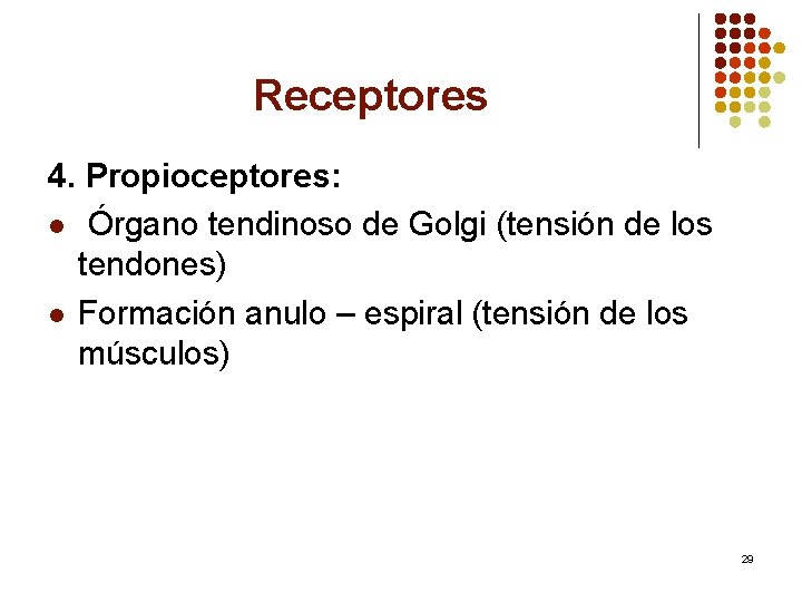 Receptores 4. Propioceptores: l Órgano tendinoso de Golgi (tensión de los tendones) l Formación
