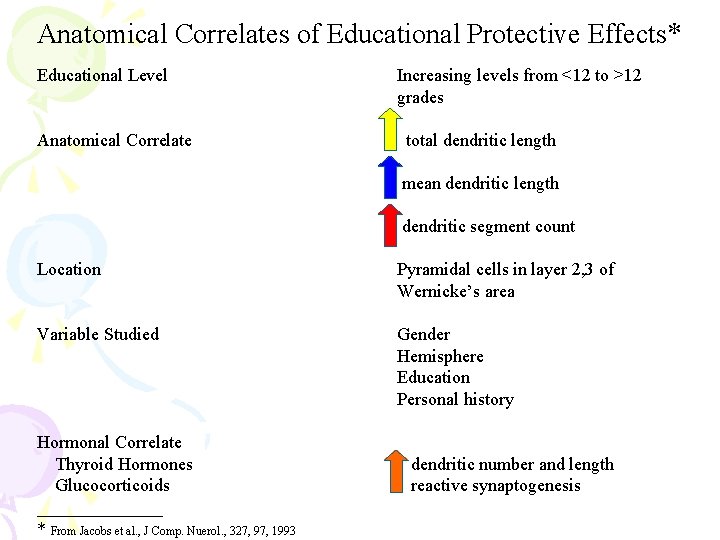 Anatomical Correlates of Educational Protective Effects* Educational Level Anatomical Correlate Increasing levels from <12