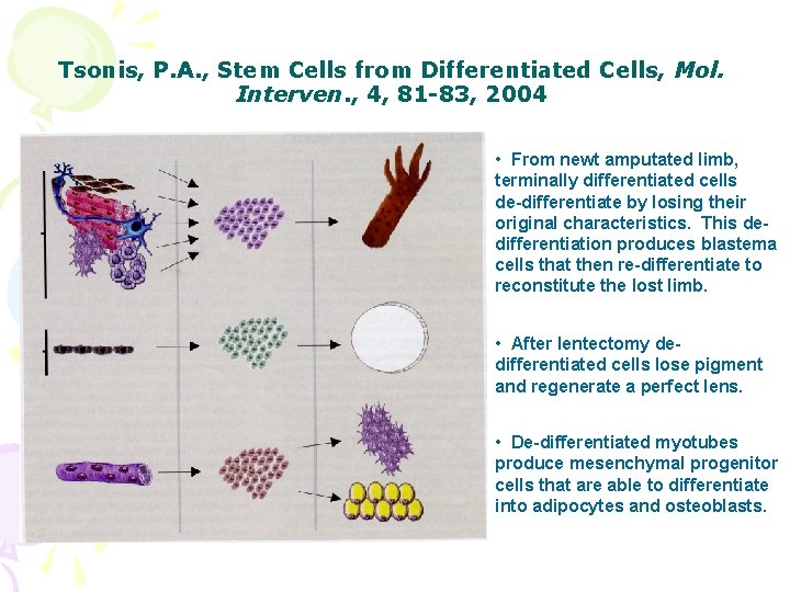 Tsonis, P. A. , Stem Cells from Differentiated Cells, Mol. Interven. , 4, 81