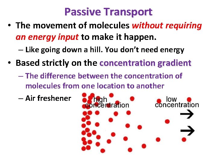 Passive Transport • The movement of molecules without requiring an energy input to make