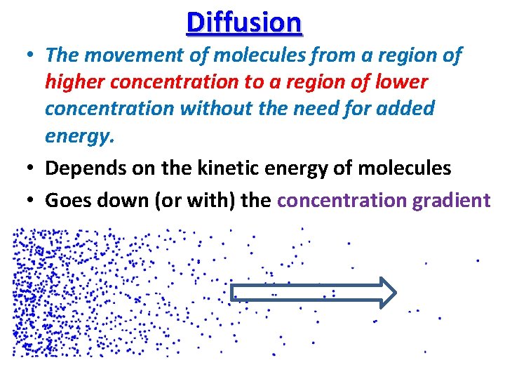 Diffusion • The movement of molecules from a region of higher concentration to a