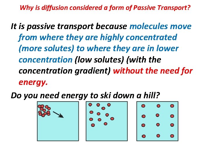 Why is diffusion considered a form of Passive Transport? It is passive transport because