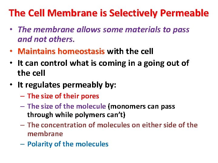 The Cell Membrane is Selectively Permeable • The membrane allows some materials to pass