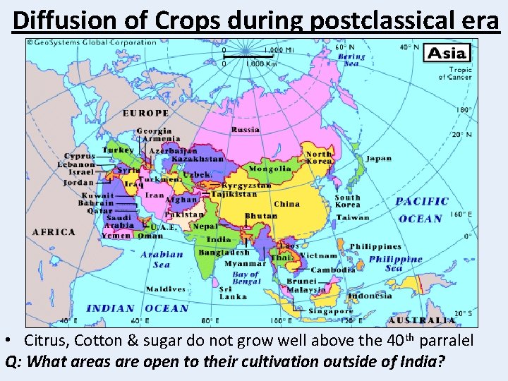 Diffusion of Crops during postclassical era • Citrus, Cotton & sugar do not grow