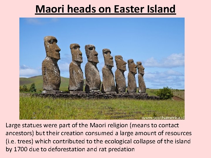 Maori heads on Easter Island Large statues were part of the Maori religion (means
