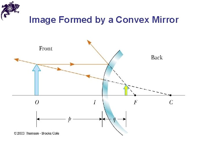 Image Formed by a Convex Mirror 