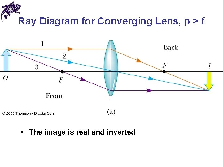 Ray Diagram for Converging Lens, p > f • The image is real and