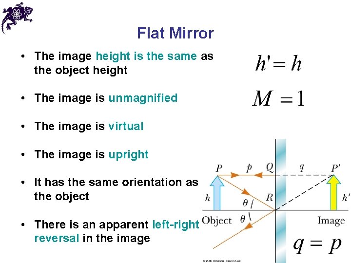 Flat Mirror • The image height is the same as the object height •