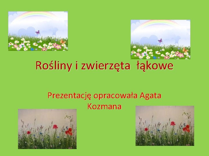 Rośliny i zwierzęta łąkowe Prezentację opracowała Agata Kozmana 