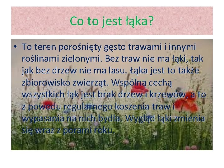 Co to jest łąka? • To teren porośnięty gęsto trawami i innymi roślinami zielonymi.