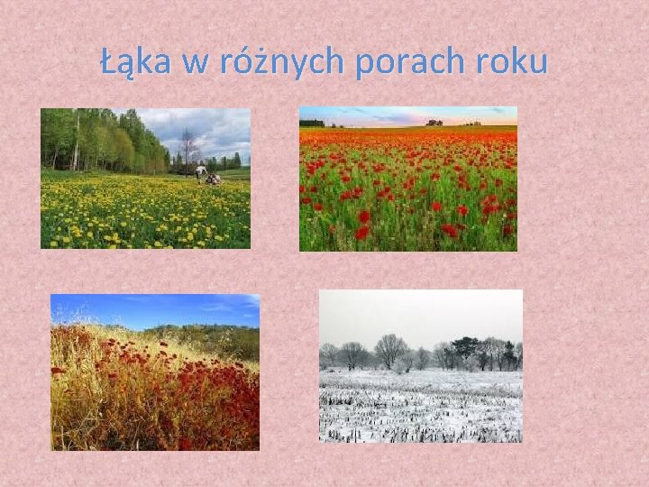 Łąka w różnych porach roku 