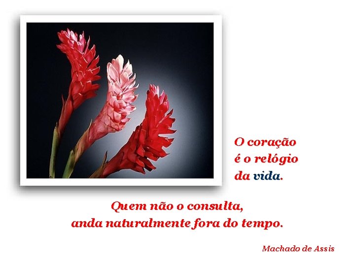 O coração é o relógio da vida. Quem não o consulta, anda naturalmente fora