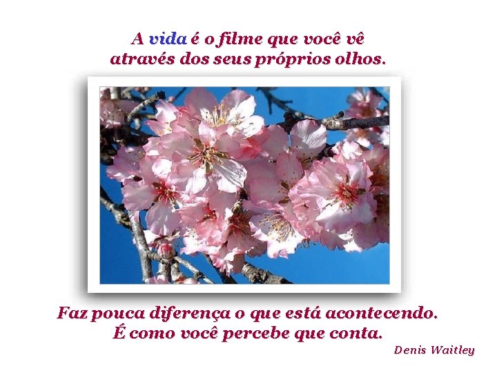 A vida é o filme que você vê através dos seus próprios olhos. Faz