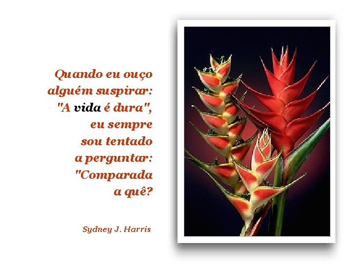 Quando eu ouço alguém suspirar: "A vida é dura", eu sempre sou tentado a