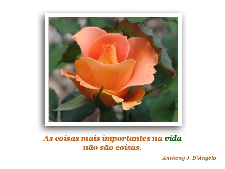 As coisas mais importantes na vida não são coisas. Anthony J. D'Angelo 