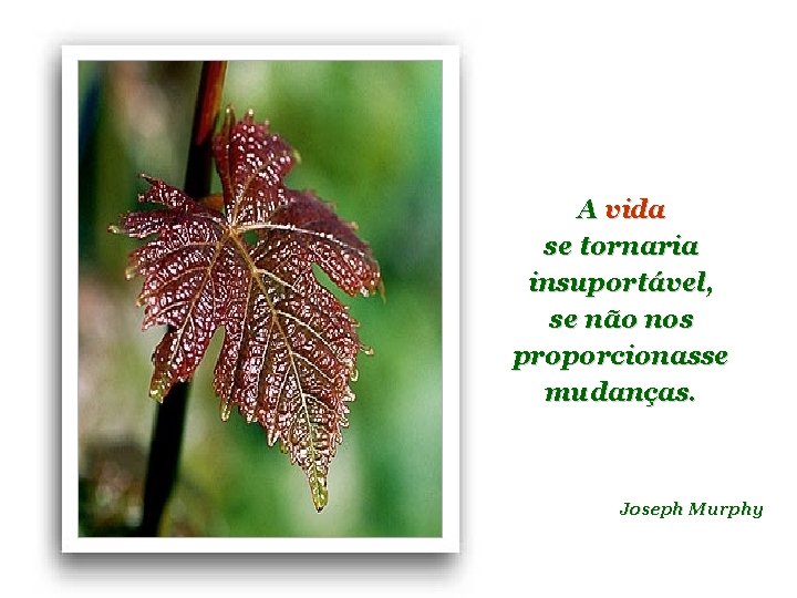 A vida se tornaria insuportável, se não nos proporcionasse mudanças. Joseph Murphy 