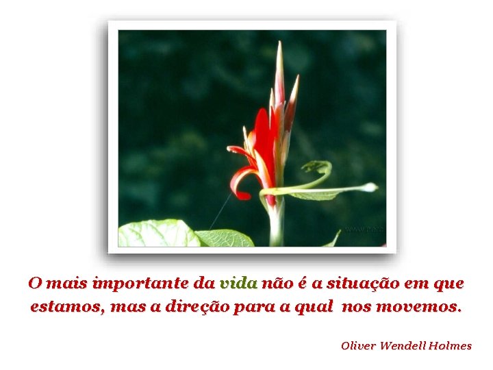 O mais importante da vida não é a situação em que estamos, mas a