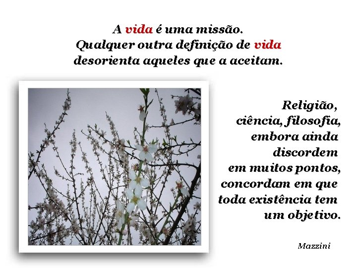 A vida é uma missão. Qualquer outra definição de vida desorienta aqueles que a