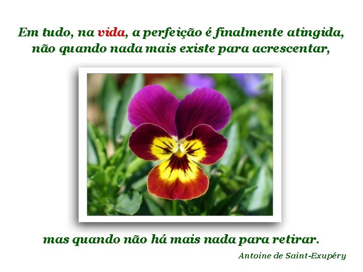 Em tudo, na vida, a perfeição é finalmente atingida, não quando nada mais existe
