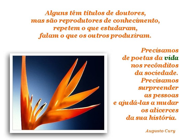 Alguns têm títulos de doutores, mas são reprodutores de conhecimento, repetem o que estudaram,