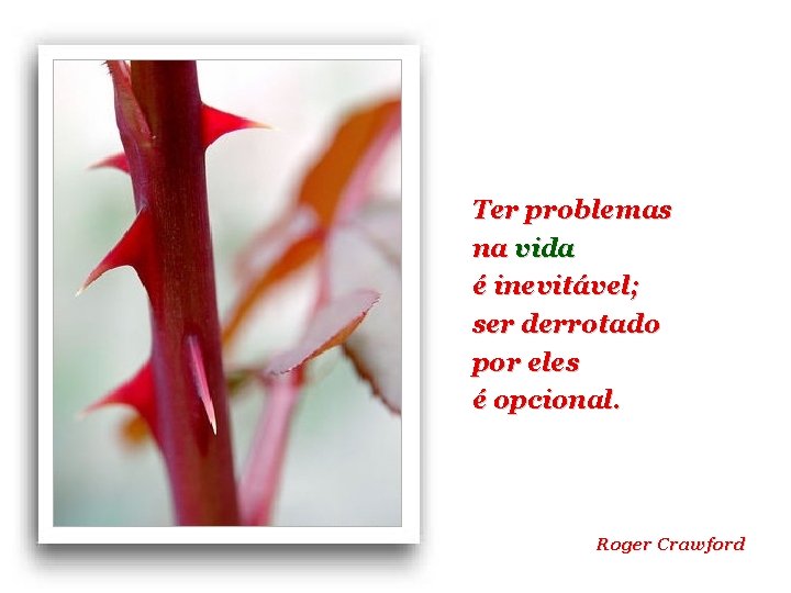 Ter problemas na vida é inevitável; ser derrotado por eles é opcional. Roger Crawford