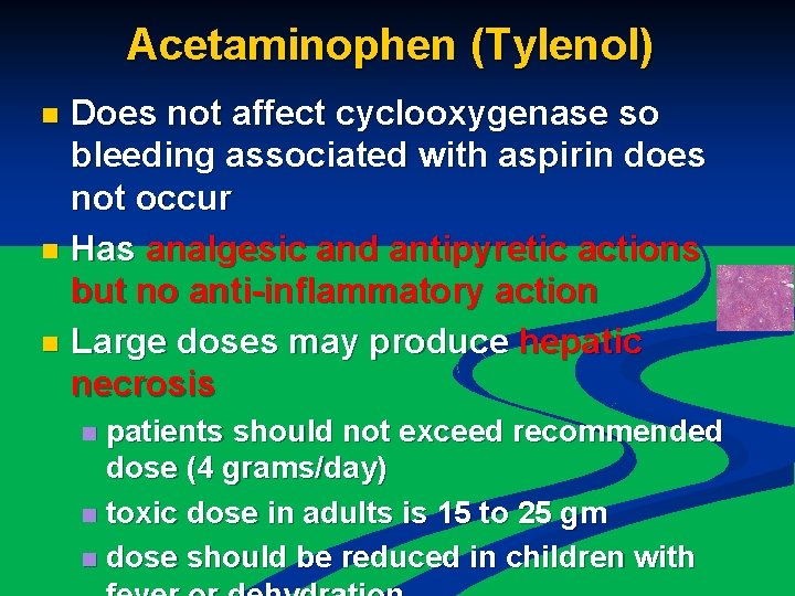 Acetaminophen (Tylenol) Does not affect cyclooxygenase so bleeding associated with aspirin does not occur