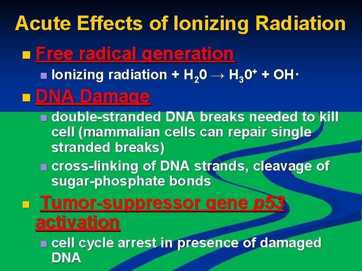 Acute Effects of Ionizing Radiation n Free n radical generation Ionizing radiation + H