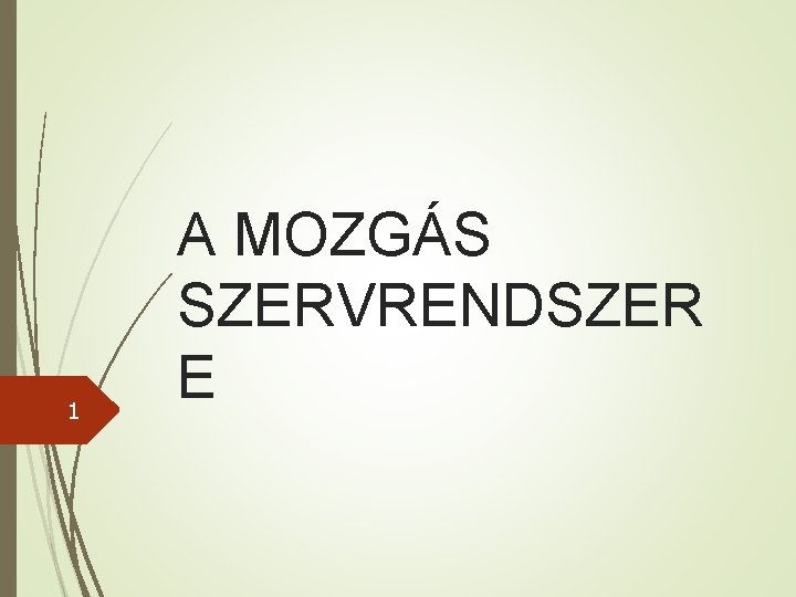 1 A MOZGÁS SZERVRENDSZER E 