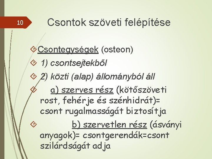 Csontok szöveti felépítése 10 Csontegységek (osteon) 1) csontsejtekből 2) közti (alap) állományból áll a)