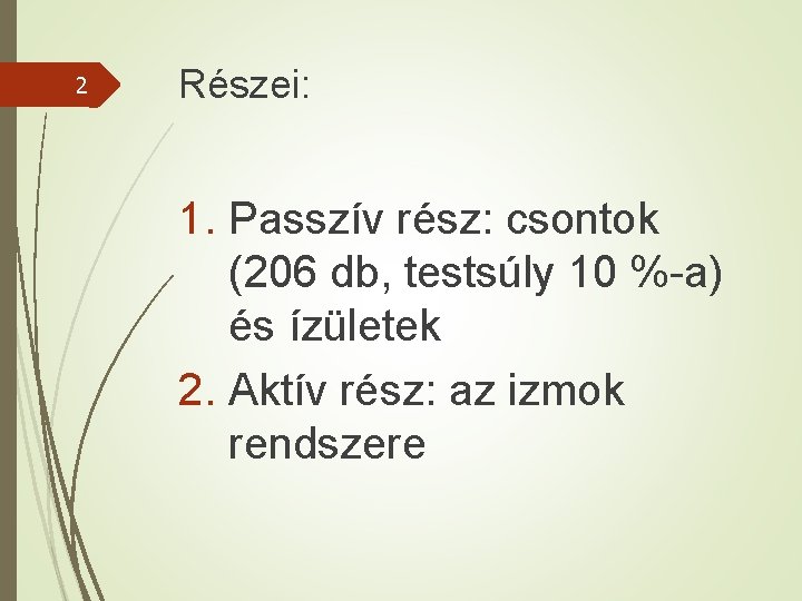 2 Részei: 1. Passzív rész: csontok (206 db, testsúly 10 %-a) és ízületek 2.